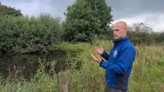 Poelenbeheer in Nederland: kikkerpoelen