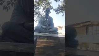 Gandhi ji ok goli Stone art carving video #youtubeshorts #shortsfeed