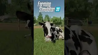 Cows Details in FS25 vs FS 22 vs FS19 🐄
