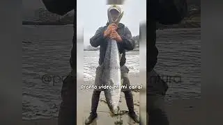 Palometa XXL 🔥🔥🔥 #pescaenkayak #chile
