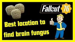 Fallout 76 - Best location to find brain fungus!