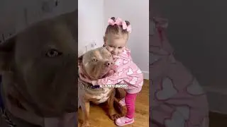 A big dog, a tiny heart #shorts
