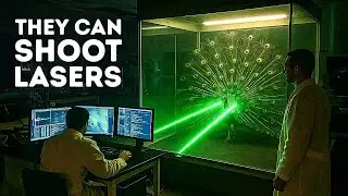 Peacocks Can Shoot Lasers From Their Tails, New Study Finds