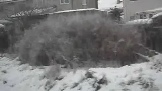 bellshill to motherwell train journey snow