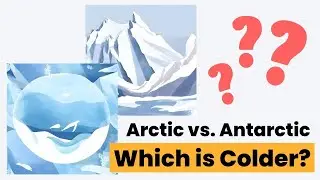 Great Freeze Out: Antarctica vs Arctic - Which Wins?