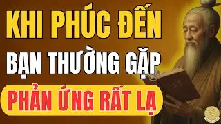 Khi Phúc Đến, Con Người Thường Có Phản Ứng Rất Lạ – Nhưng Ít Ai Nhận Ra | Tinh Hoa Trí Đạo