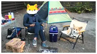 初キャンプで玄人感を出すコーギー、この後大変なめにあいました【エンゼルフォレスト那須白河】