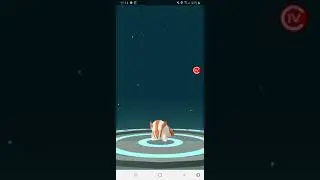 Shiny Zigzachs entwickeln
