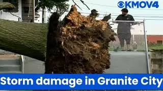 &lsquo;A disaster area&rsquo; Strong storms cause tree to fall on Granite City home, hospitalizing two people