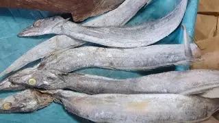 Fish#shortsfeed#shorts#live#india#food#recommend#shortslive#recommend