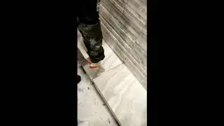 BAŞ KESME kullanımı...