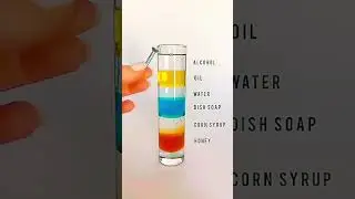 Different Densities of immiscible liquids | Solubility #ViralShorts