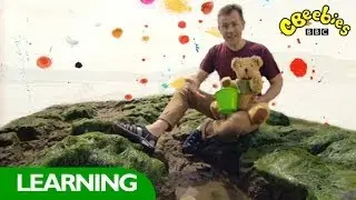 CBeebies: Show Me Show Me - Rockpools