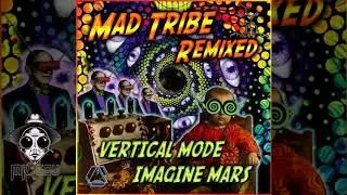Mad Tribe - Tuned In Perfectly (Imagine Mars remix)