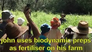 biodynamic day at gargan's farm ~ superfood for happy cows ~