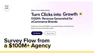 This agency has generated $100M+ for brands. Here's one survey they use: