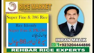 Super Fine || IRRI Fine || Fine Rice || PK386 || PK386 Rice || SuperFine and PK-386 Grain