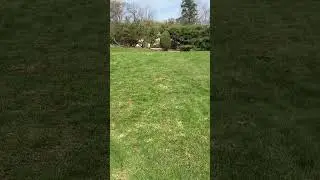 #RCCarFun #RCAdventure #RCBackflip ￼