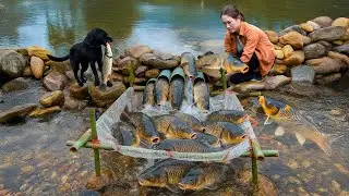 First Time! Harvest +1000 Giant Fish Stream Use PVC Pipe, Grill Whole On Fire | Natural Wild Food