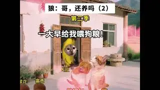 狼： 哥，还养吗 #猫meme日常 #猫meme #猫meme故事 #猫meme小剧场