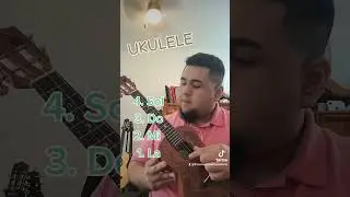 🎶 APRENDE LAS CUERDAS EN EL UKULELE 🎶 #ukulele #ukelele #acordes #aprender #music #musica