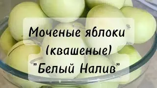 Моченые яблоки. Самый простой рецепт #моченыеяблоки #квашеныеяблоки #белыйналив #яблоки