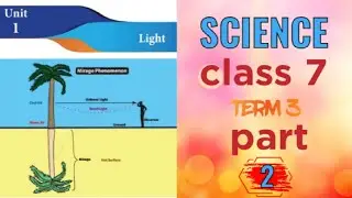 class 7 /science/ Unit:1 light / TERM  3/ samacheer kalvi / part 2