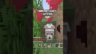 #minecraftlegacyedition