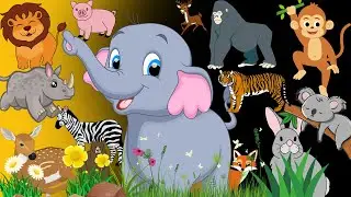 BrightKidz || Animal Kingdom || Animal for kids || Animal Names for Kids| Learning Video For Kids ||