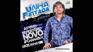 T&ocirc; Querendo Voltar (S&atilde;o 3 da Manh&atilde;) Unha Pintada Show - CD Promocional de Agosto (M&uacute;sica Nova)