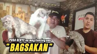 MAGANDANG PASABOG NA NAMAN NGAYONG LINGGO | PUSA SERYE | MAY KONTING ASO | OCTOBER 19, 2025