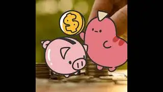 finance finance finance, high income low savings extra transactions #finance #reports