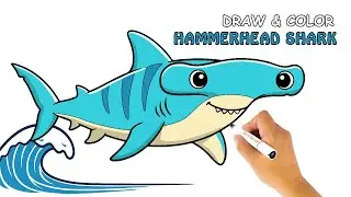 Draw & Color a Hammerhead sharks | Relaxing Fish Drawing Step by Step
