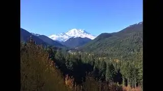 Looking Out My Back Door - Bob Sherwood