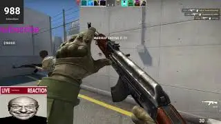hammy 1k livestream (gaming)