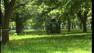 Mapping System Helps Control Pecan Nut Casebearer