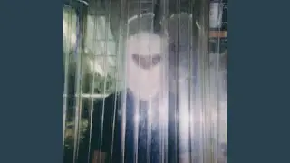 Oślepiony