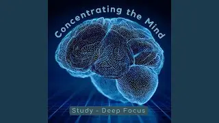Concentrating the Mind 2