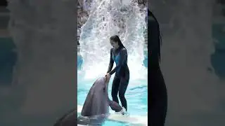 Shocking Moment: Dolphin Attacks Girl During Live Show! #dolphinattack #liveshow