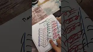 Патладжан - засаждане на лехи с разсад.