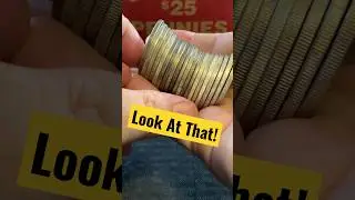 Unsearched Peace Dollars! #coin #youtubeshorts #money #preciousmetals #silver #dollar #peace