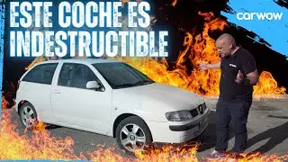 ESTE VIEJO IBIZA TDI ES LA BOMBA: LO REPROGRAMO PARA MI FUTURO RÉCORD, ¿CUÁNTA POTENCIA GANARÁ?