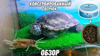 🦗 Кормление КОНСЕРВИРОВАННЫМ СВЕРЧКОМ Красноухих черепах | Обзор сверчка компании Watera