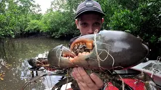 Catching MONSTER Wet Season MUD CRABS, Central Queensland