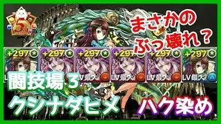 【パズドラ】極限の闘技場3ソロ　転生クシナダヒメ　まさかのぶっ壊れ性能？サブはハクちゃんズ！【実況】