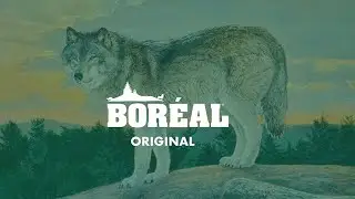 Bor&eacute;al and Original premium grain free dog food