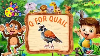 Q For Quail/Quail/Quail sound/kids learning/Creative kids/kids education