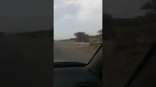 for badiya road in oman