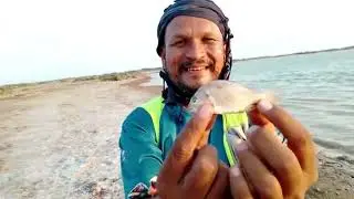 Fishing in Almania: Catching Bottom Fish in Bad Weather and Bonus Catch at Harjina! | Karachi