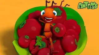Broken Leg! Ants Need To Make A Stretcher? | Antiks | Moonbug Create